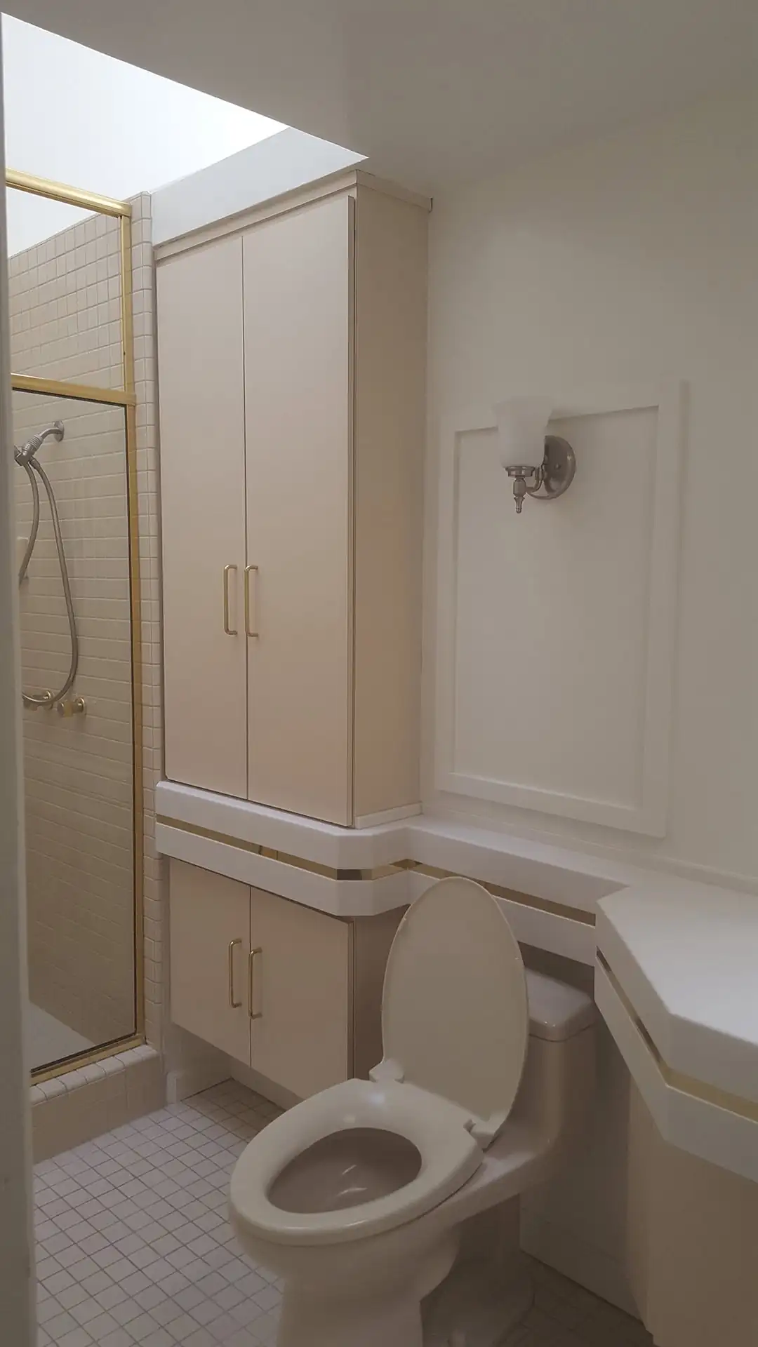 light toned toilet