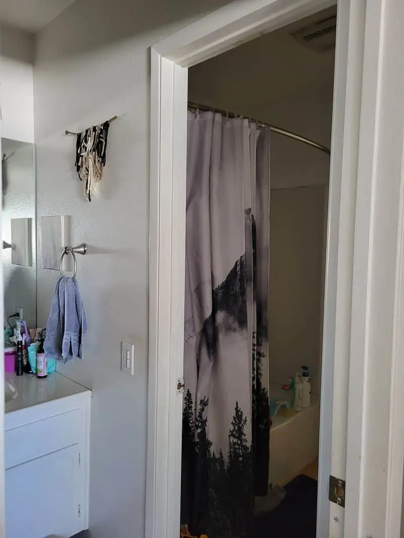 bathroom with a shower curtain
